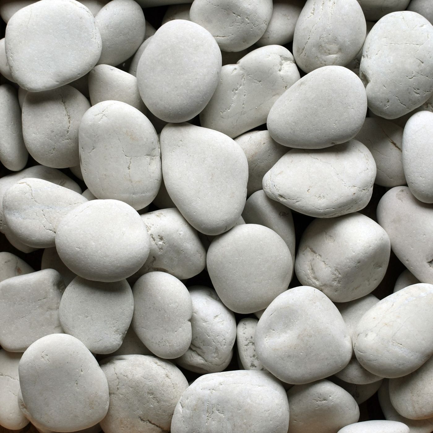 Ivory Seaside Beach Pebble