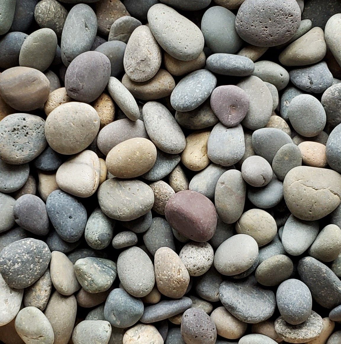 Mixed Mexican Beach Pebbles