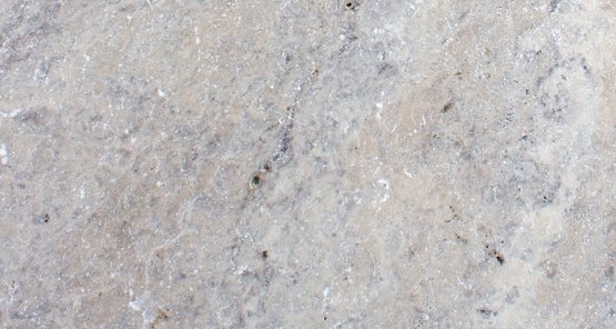 Elevation Takoma Silver Pavers